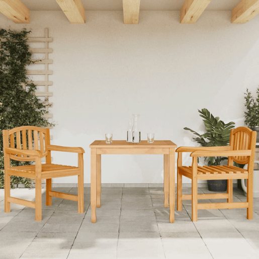Lote de 2 Cadeiras de jardim - Cadeiras de exterior 58x59x88 cm madeira de teca maciça