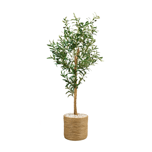 Planta artificial Sala de estar e jantar Verde 60x60x145 Olivo Muebles Bonitos