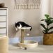 Árbol para Gato Aglomerado de Madera, Felpa PawHut Árbol para Gato Aglomerado de Madera, Felpa PawHut Gris