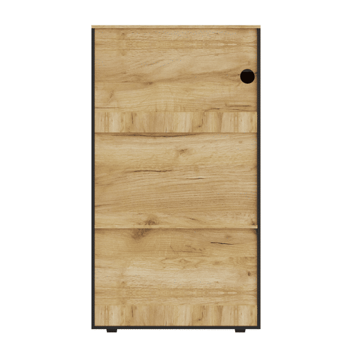 Armário de armazenamento moderno PB com LED de 16 cores - 3 prateleiras fixas, 2 ajustáveis, portas de vidro - Preto, Natural