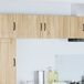 Armario de cocina de pared - Mueble cocina 50 Armario de cocina de pared - Mueble cocina 50 Blanco Brillo