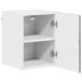 Armario de cocina de pared - Mueble cocina 30 Armario de cocina de pared - Mueble cocina 30 Blanco Brillo