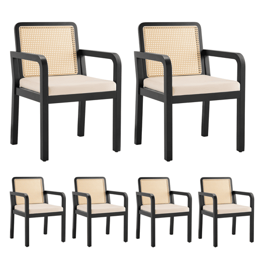 Cadeira de jantar em veludo (6 unidades) - Ergonómica, encosto em rattan, pernas em madeira de borracha - Preto