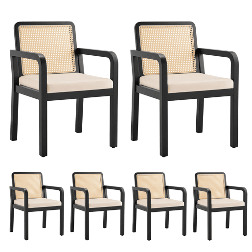 Cadeira de jantar em veludo (6 unidades) - Ergonómica, encosto em rattan, pernas em madeira de borracha - Preto