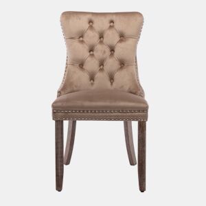 Cadeira de sala de jantar 2 unidades - Veludo acolchoado, pernas de madeira, tachas - Cáqui