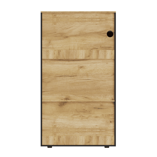 Armário de armazenamento moderno PB com LED de 16 cores - 3 prateleiras fixas, 2 ajustáveis, portas de vidro - Preto, Natural