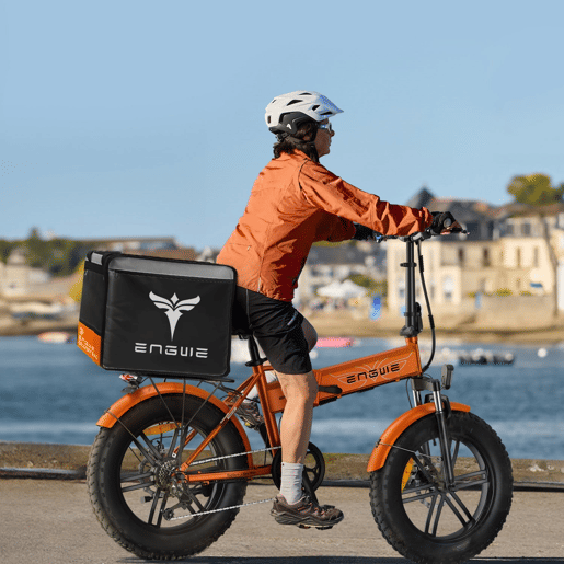 ENGWE EP-2 BOOST E-bike - Motor 250W Bateria 624Wh Pneus de 20*4 Polegadas Travões Hidráulicos - Marrom
