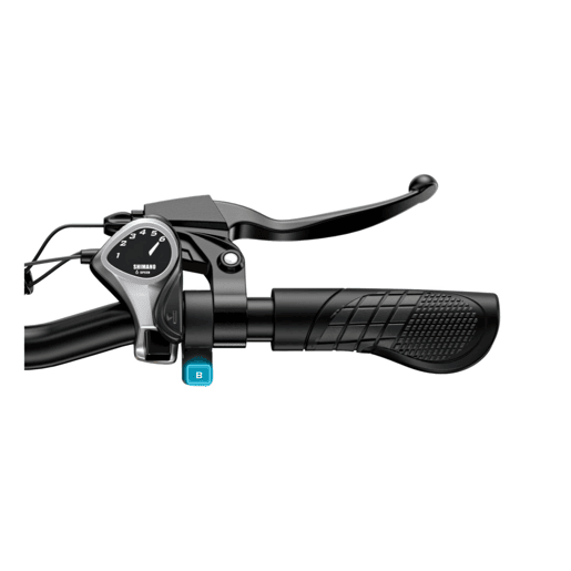 ENGWE EP-2 BOOST E-bike - Motor 250W Bateria 624Wh Pneus de 20*4 Polegadas Travões Hidráulicos - Marrom