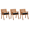 Cadeiras de jantar jardim - Cadeiras de exterior c almofadões 3 pcs madeira acácia