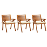 Cadeiras de jantar jardim - Cadeiras de exterior c almofadões 3 pcs acácia maciça