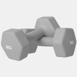 SPORTNOW Conjunto de Halteres Hexagonais 2 x 6 kg Revestidos em Plástico Conjunto de Pesos de Metal com Cabos Antiderrapantes para Treino em Casa Ginásio e Escritório 22x10x10 cm Cinzento