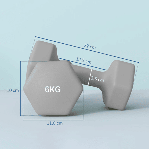 SPORTNOW Conjunto de Halteres Hexagonais 2 x 6 kg Revestidos em Plástico Conjunto de Pesos de Metal com Cabos Antiderrapantes para Treino em Casa Ginásio e Escritório 22x10x10 cm Cinzento