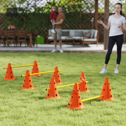 PawHut Kit de Agilidade para Cães Barreiras de Obstáculos para Treino de Coordenação 8 Cones de 30 cm de Altura 4 Barras de 80 cm e Bolsa de Transporte para Desporto e Animais de Estimação