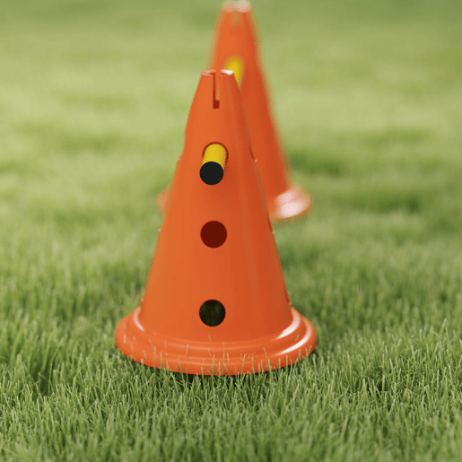PawHut Kit de Agilidade para Cães Barreiras de Obstáculos para Treino de Coordenação 8 Cones de 30 cm de Altura 4 Barras de 80 cm e Bolsa de Transporte para Desporto e Animais de Estimação