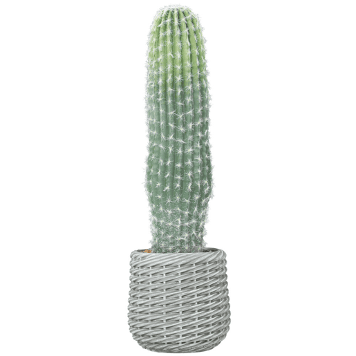 HOMCOM Cacto Artificial 66 cm Planta Artificial Decorativa com Vaso para Decoração de Interiores Casa Escritório Sala Verde