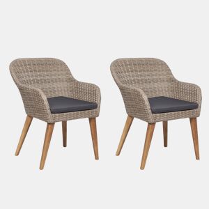 vidaXL Cadeiras de jardim com almofadas 2 unidades rattan sintético castanho