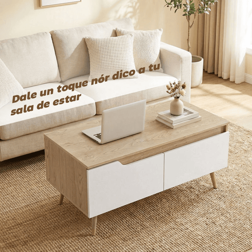 HOMCOM Mesa de Centro Moderna com 2 Gavetões e Pés de Madeira de Borracha para Sala de Estar ou Quarto 100x50x46 cm Carvalho