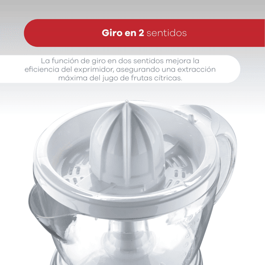 Conjunto de frigideiras Conjunto de frigideiras