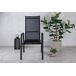 Sillón reclinable de exterior Sillón reclinable de exterior Negro