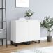 Aparador - Mueble de almacenamiento 2 uds 40 Aparador - Mueble de almacenamiento 2 uds 40 Blanco