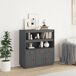 Aparador alto - Mueble de almacenamiento 100 Aparador alto - Mueble de almacenamiento 100 Gris