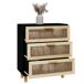 Aparador - Mueble de almacenamiento Aparador - Mueble de almacenamiento Negro