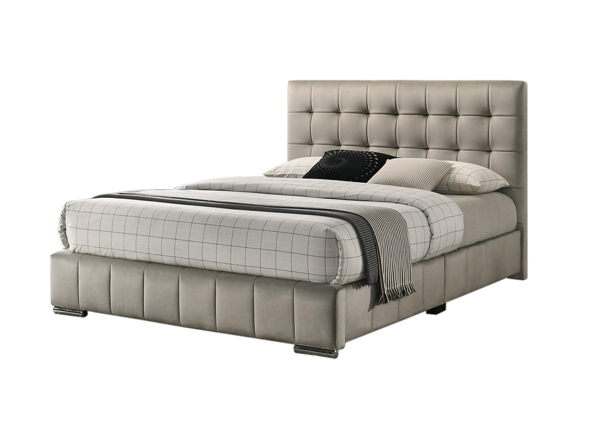 Cama de matrimonio pasty + colchón basico 17cm (+/-)