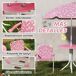 Conjunto Infantil Jardín Acero, Plástico AIYAPLAY Conjunto Infantil Jardín Acero, Plástico AIYAPLAY Rosa