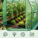 Invernadero de jardín con estructura metálica y cubierta de PE Invernadero de jardín con estructura metálica y cubierta de PE Verde
