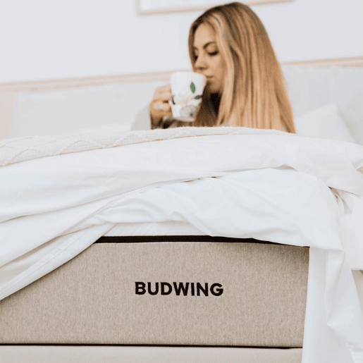 Colchão BUDWING BioHybrid (90x200 cm - Memory Foam, Látex e Molas Ensacadas)