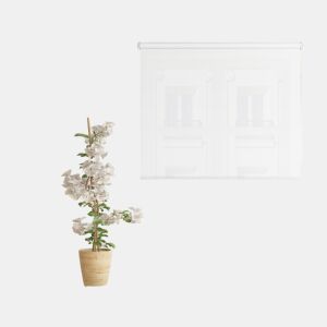 Estore de Rolo Screen Abertura 10% Branco 165 X 190cm