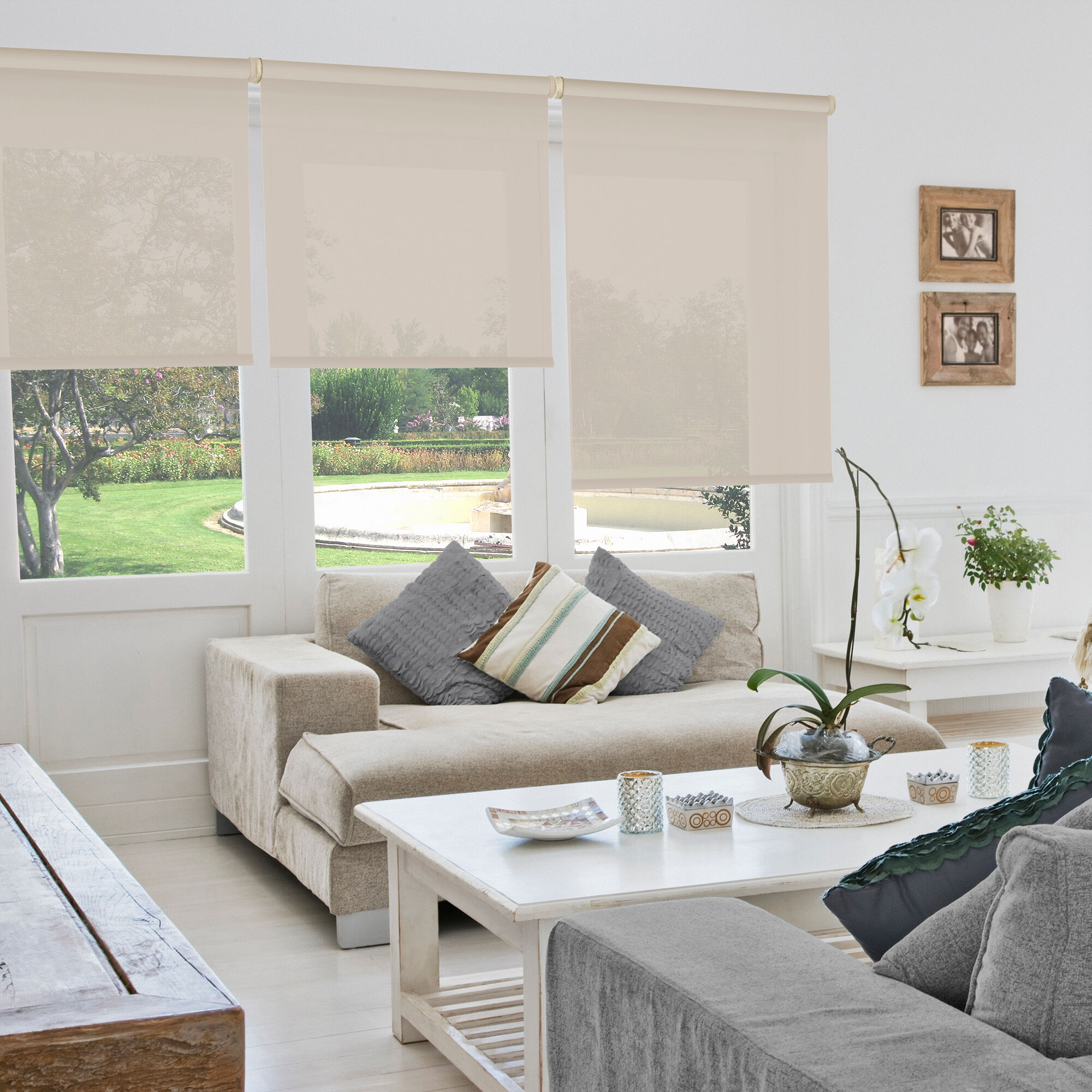 Estor Enrollable Screen - Apertura 10%