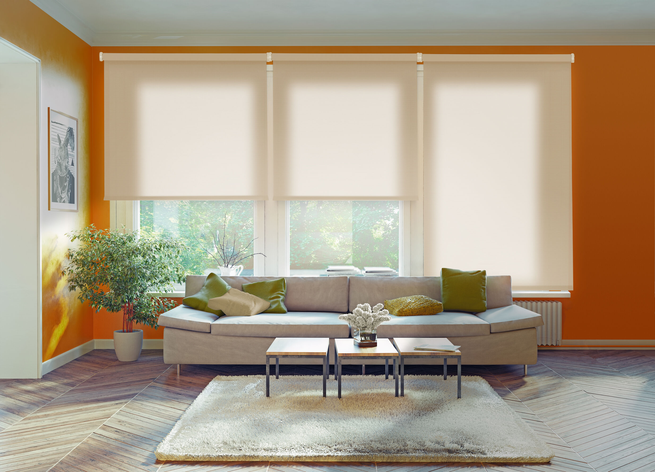 Estor Enrollable Traslúcido Ecológico