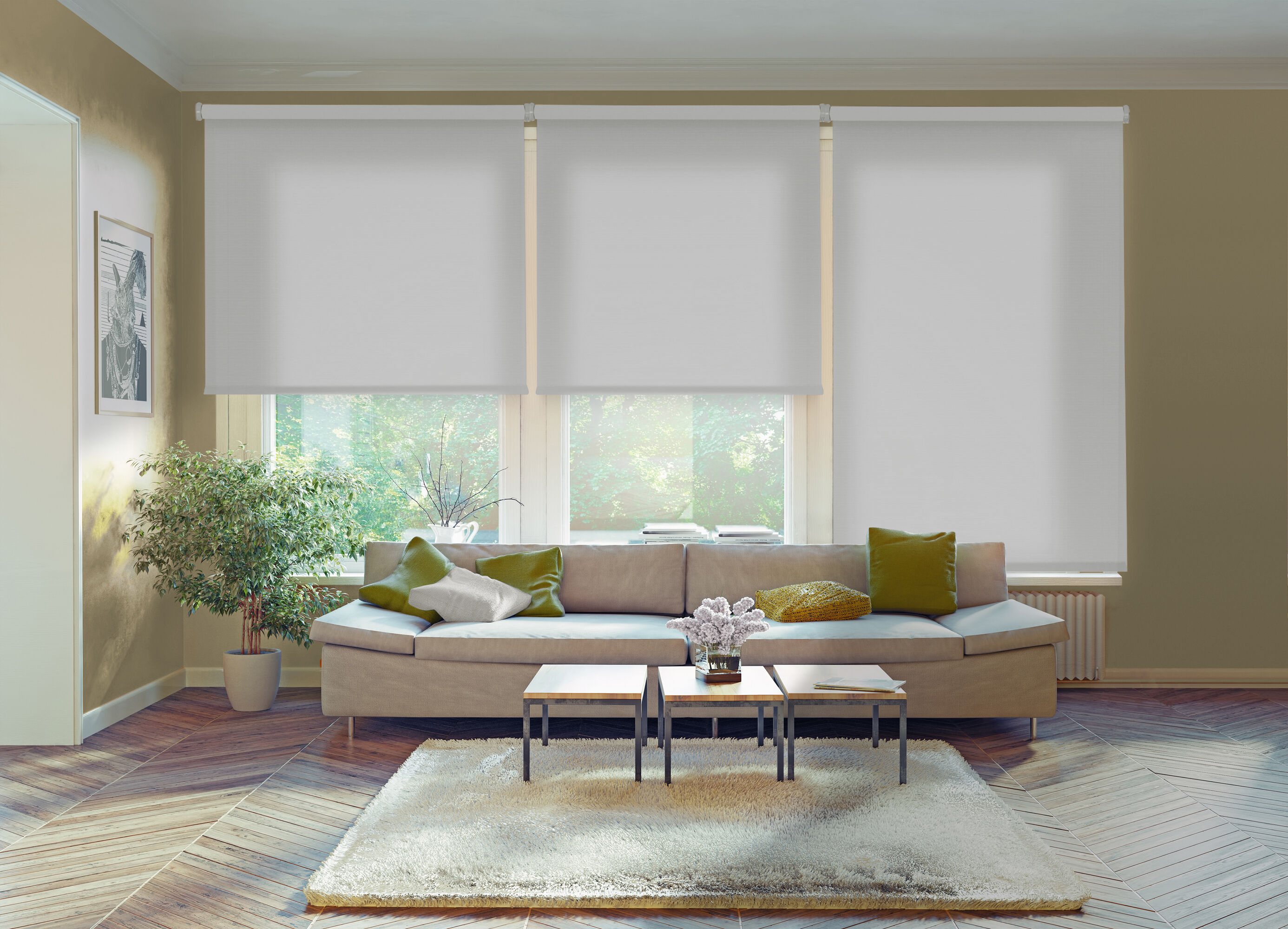 Estor Enrollable Traslúcido Ecológico