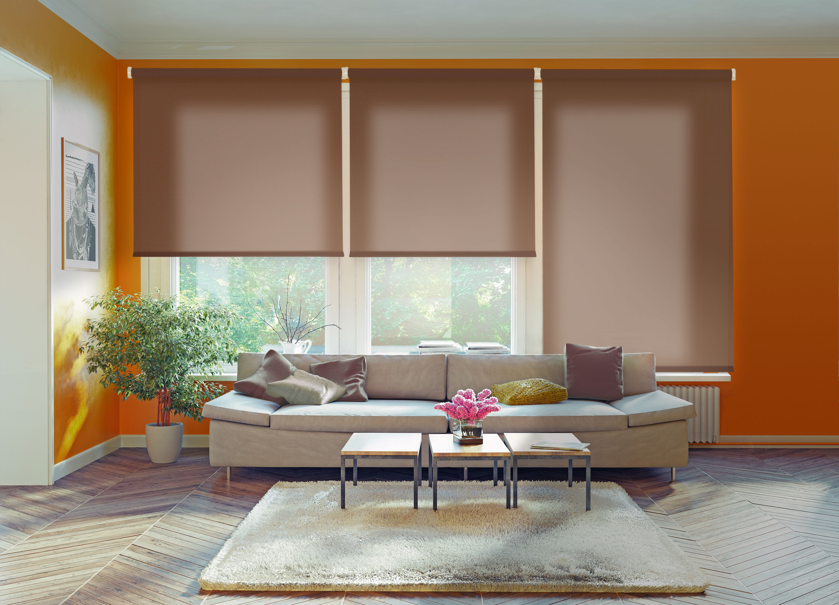 Estor Enrollable Traslúcido Ecológico