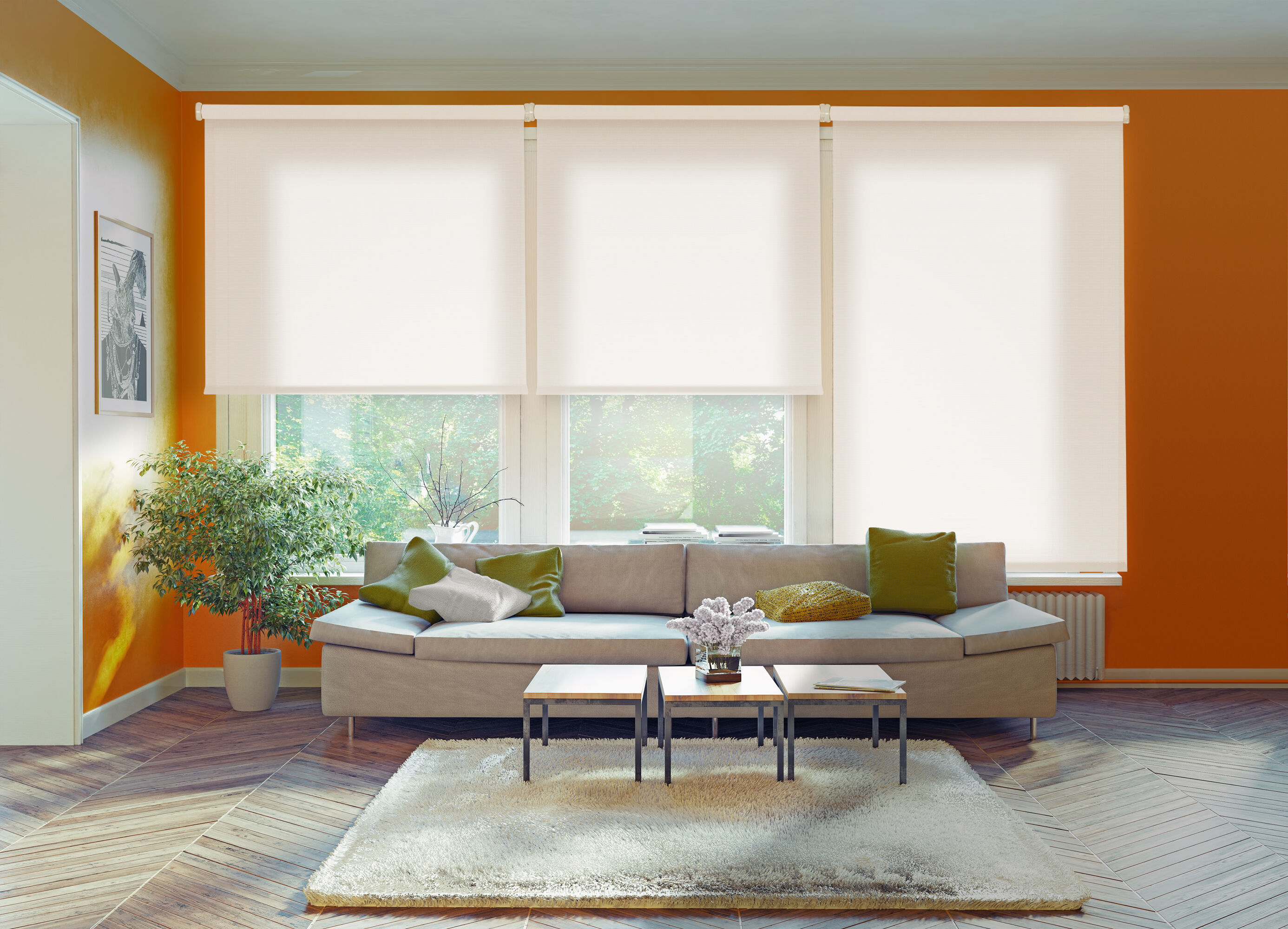 Estor Enrollable Traslúcido Ecológico