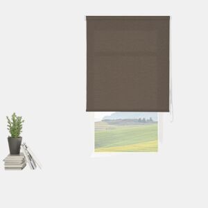 Estore de Rolo Translúcido Básico Marrom 135 X 250cm