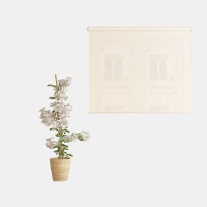 Estore de Rolo Screen Abertura 10% Bege 135 X 250cm