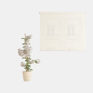 Estore de Rolo Screen Abertura 10% Branco Linho 150 X 190cm