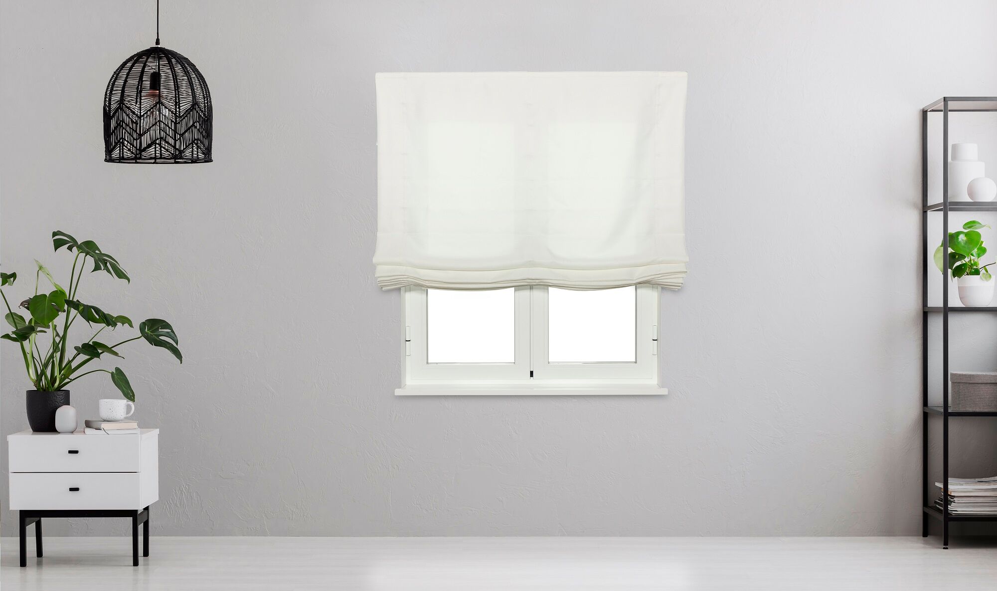 Estor Pacchetto Traslúcido Artemia