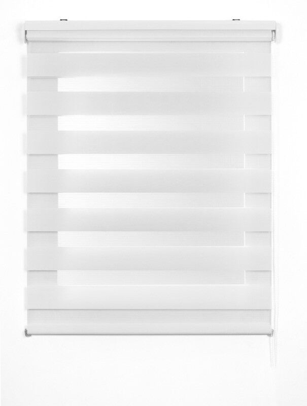 Estor enrollable Noche y Día