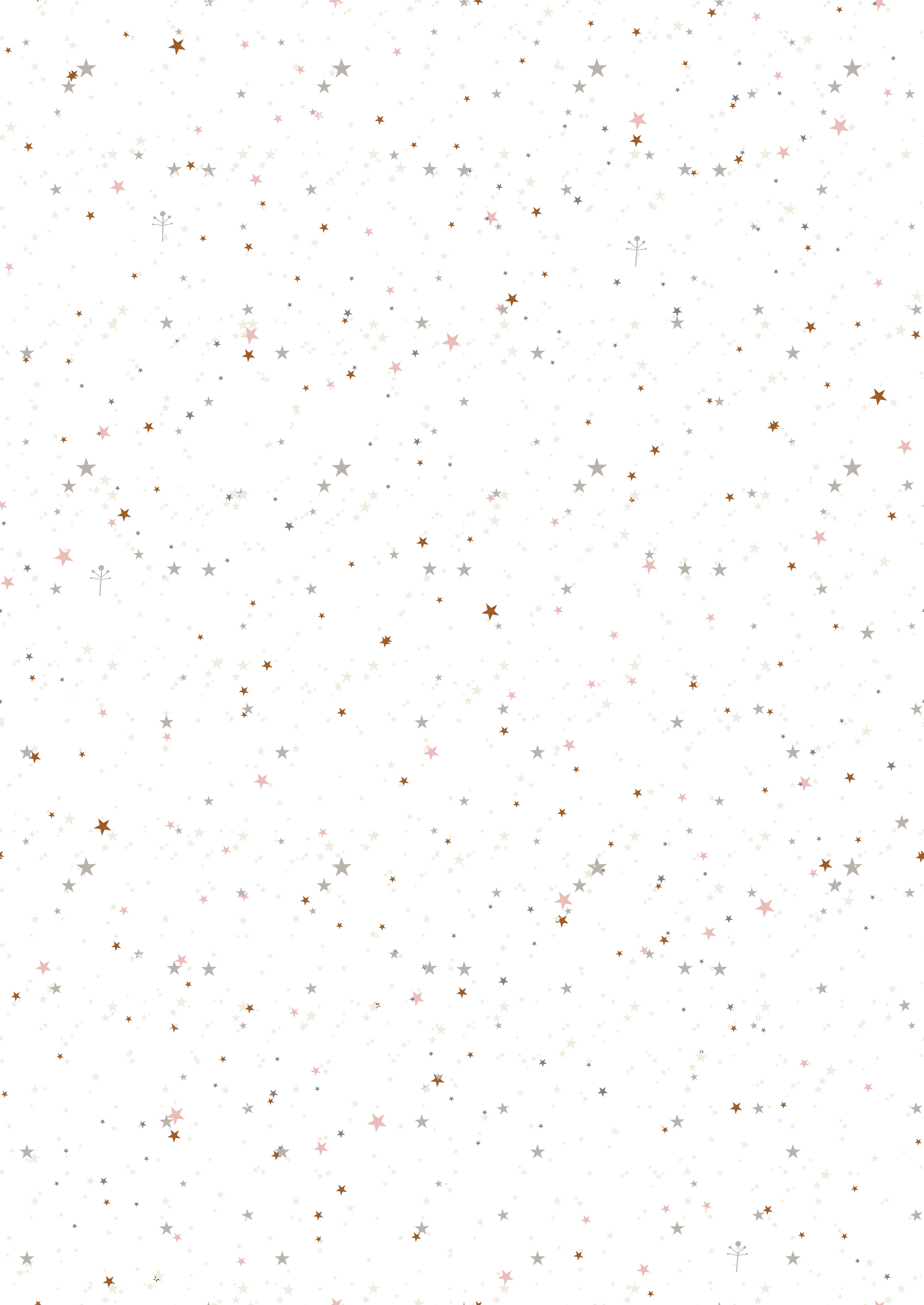 CORTINA CON OJALES BAILARINA B HACIENDO EL INDIO