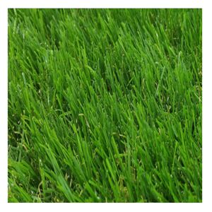 Rolo De Relva| 1X2,5M (Comprimento X Largura)| Grossura 40MM| Macio| Fofo| Jardim Ar Livre| Tipo Sintético