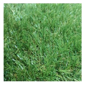 Rolo De Relva| 1X8M (Comprimento X Largura)| Grossura 20MM| Macio| Fofo| Jardim Ar Livre| Tipo Sintético