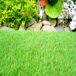 Cesped Artificial| Suave| Mullido| Jardin| Sintético Cesped Artificial| Suave| Mullido| Jardin| Sintético